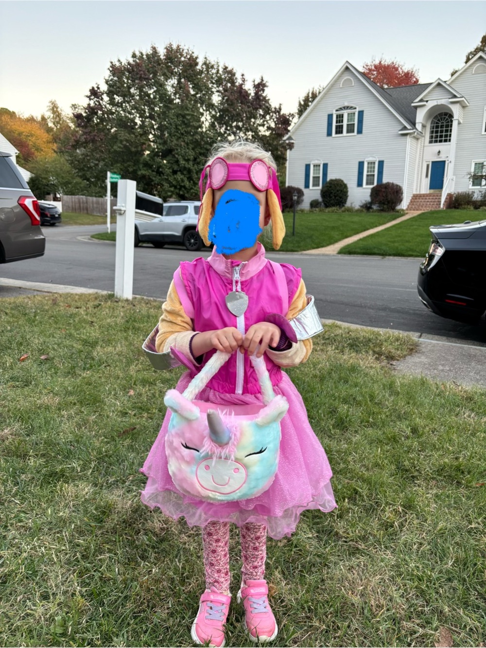 Skye Costume